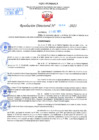 Vista preliminar de documento Resolución Directoral N° 01504-2021