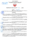 Vista preliminar de documento Resolución Directoral N° 01509-2021