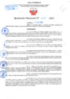 Vista preliminar de documento Resolución Directoral N° 01503-2021