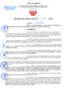 Vista preliminar de documento Resolución Directoral N° 01492-2021