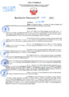 Vista preliminar de documento Resolución Directoral N° 01486-2021