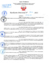 Vista preliminar de documento Resolución Directoral N° 01539-2021