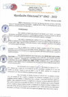 Vista preliminar de documento Resolución Directoral N° 00042-2022