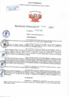 Vista preliminar de documento Resolución Directoral N° 00065-2022