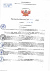 Vista preliminar de documento Resolución Directoral N° 00091-2022