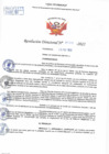 Vista preliminar de documento Resolución Directoral N° 00111-2022