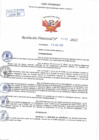 Vista preliminar de documento Resolución Directoral N° 00105-2022