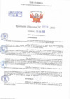 Vista preliminar de documento Resolución Directoral N° 00119-2022
