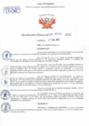 Vista preliminar de documento Resolución Directoral N° 00160-2022