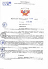 Vista preliminar de documento Resolución Directoral N° 00209-2022
