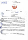 Vista preliminar de documento Resolución Directoral N° 00214-2022