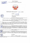 Vista preliminar de documento Resolución Directoral N° 00225-2022