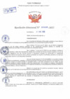 Vista preliminar de documento Resolución Directoral N° 00406-2022