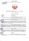 Vista preliminar de documento Resolución Directoral N° 00246-2022