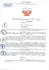 Vista preliminar de documento Resolución Directoral N° 00272-2022