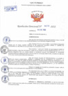 Vista preliminar de documento Resolución Directoral N° 00273-2022