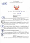 Vista preliminar de documento Resolución Directoral N° 00276-2022