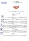 Vista preliminar de documento Resolución Directoral N° 00293-2022