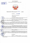 Vista preliminar de documento Resolución Directoral N° 00300-2022