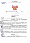 Vista preliminar de documento Resolución Directoral N° 00310-2022
