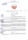 Vista preliminar de documento Resolución Directoral N° 00357-2022