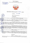 Vista preliminar de documento Resolución Directoral N° 00500-2022