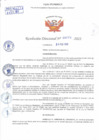 Vista preliminar de documento Resolución Directoral N° 00774-2022