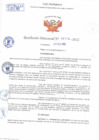 Vista preliminar de documento Resolución Directoral N° 00776-2022