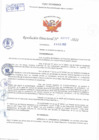 Vista preliminar de documento Resolución Directoral N° 00777-2022