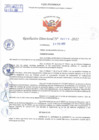 Vista preliminar de documento Resolución Directoral N° 00779-2022