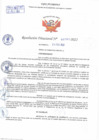 Vista preliminar de documento Resolución Directoral N° 00787-2022