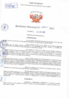 Vista preliminar de documento Resolución Directoral N° 00817-2022
