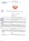 Vista preliminar de documento Resolución Directoral N° 00825-2022