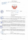 Vista preliminar de documento Resolución Directoral N° 00862-2022