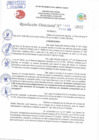 Vista preliminar de documento Resolución Directoral N° 01003-2022