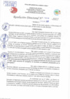Vista preliminar de documento Resolución Directoral N° 01008-2022