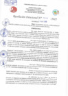 Vista preliminar de documento Resolución Directoral N° 01010-2022