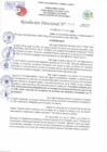 Vista preliminar de documento Resolución Directoral N° 01012-2022