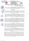 Vista preliminar de documento Resolución Directoral N° 00990-2022