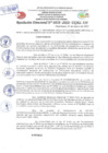 Vista preliminar de documento Resolución Directoral N° 00958-2022