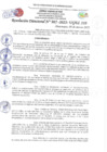 Vista preliminar de documento Resolución Directoral N° 00985-2022