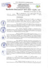 Vista preliminar de documento Resolución Directoral N° 00975-2022