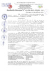 Vista preliminar de documento Resolución Directoral N° 01106-2022