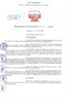 Vista preliminar de documento Resolución Directoral N° 01161-2022