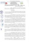 Vista preliminar de documento Resolución Directoral N° 01174-2022