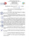 Vista preliminar de documento Resolución Directoral N° 01133-2022