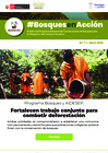 Vista preliminar de documento Boletin_BosquesEnAccion7_ds.pdf