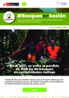 Vista preliminar de documento Boletin_BosquesEnAccion6.pdf