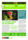 Vista preliminar de documento Boletin-Bosquesenaccion1.pdf