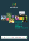 Vista preliminar de documento enbcc_documento_preliminar.pdf
